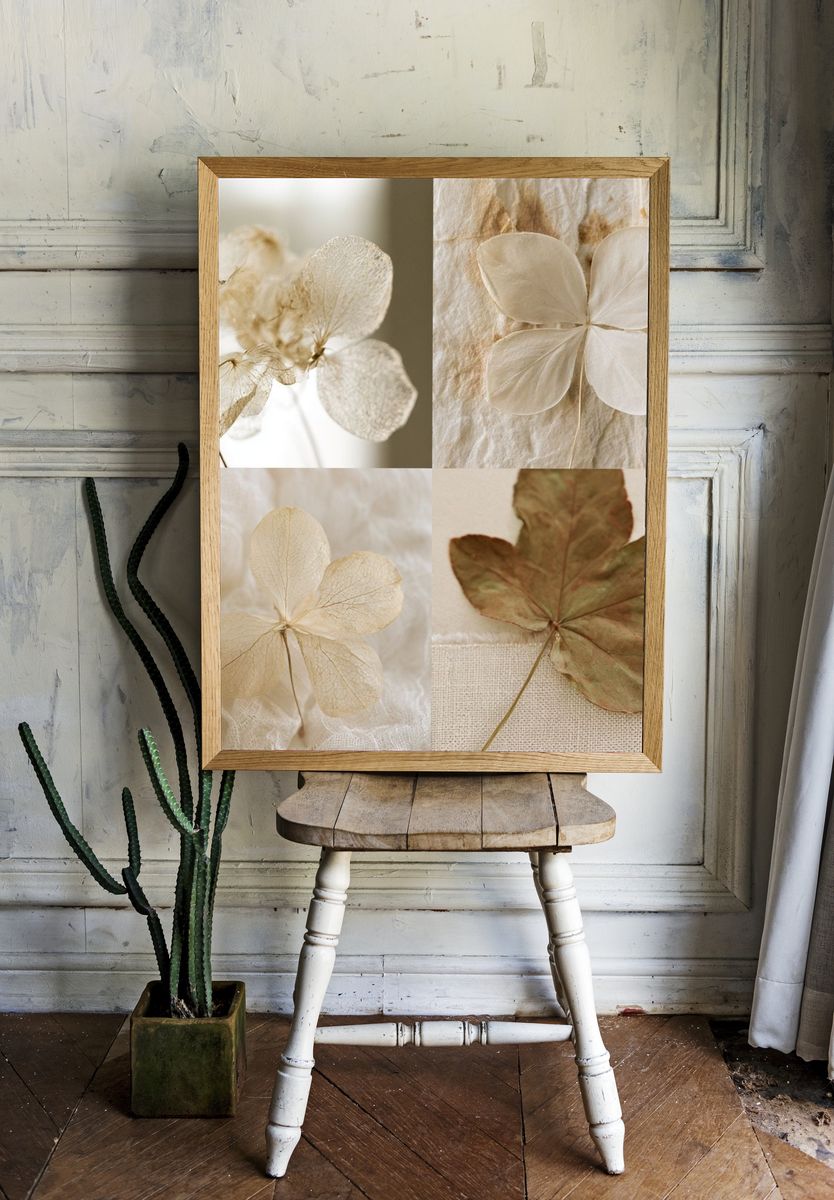 Pressed Hydrangea Botanical Print. room preview
