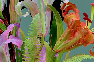 Tropical Lily Garden Illustration Poster.