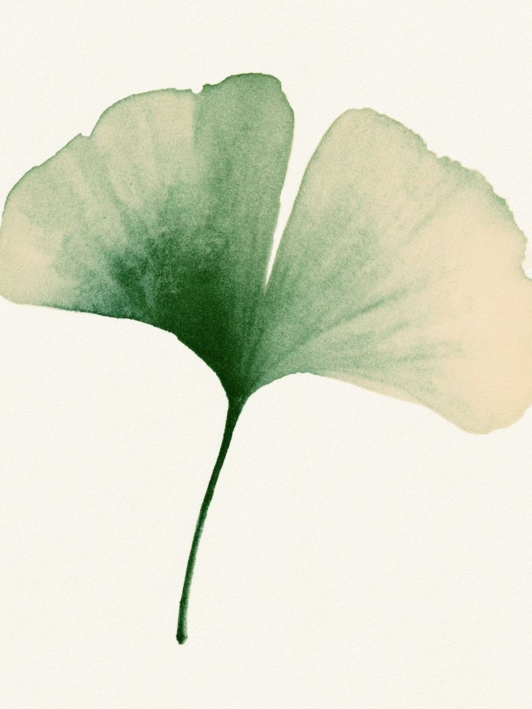 Ginkgo Leaf Watercolor Print. poster — botanical art