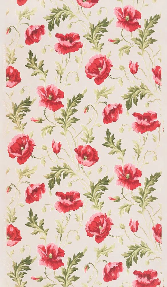 Pink flower pattern (1905–1915) vintage. poster — botanical art