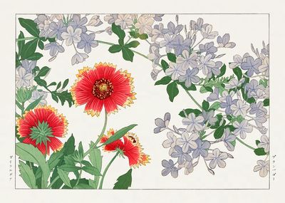 Floral Botanical Illustration Poster. poster print