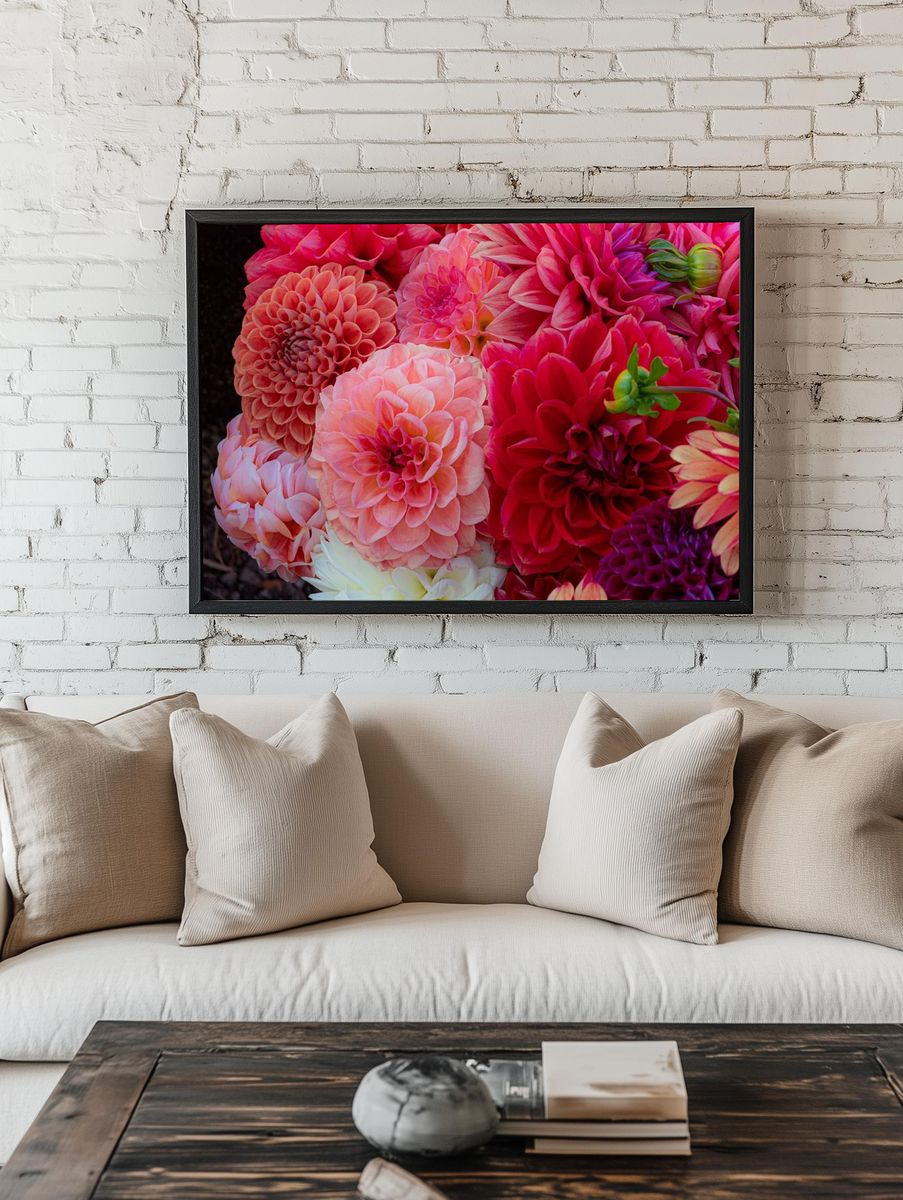 Dahlias soak sun Summer Dreams. — room view 1