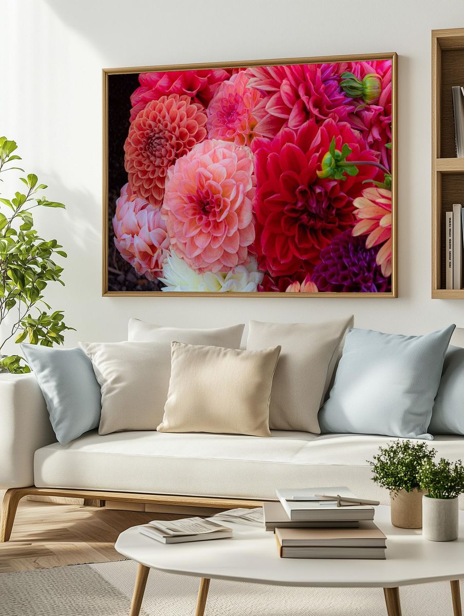 Dahlias soak sun Summer Dreams. — room view 2