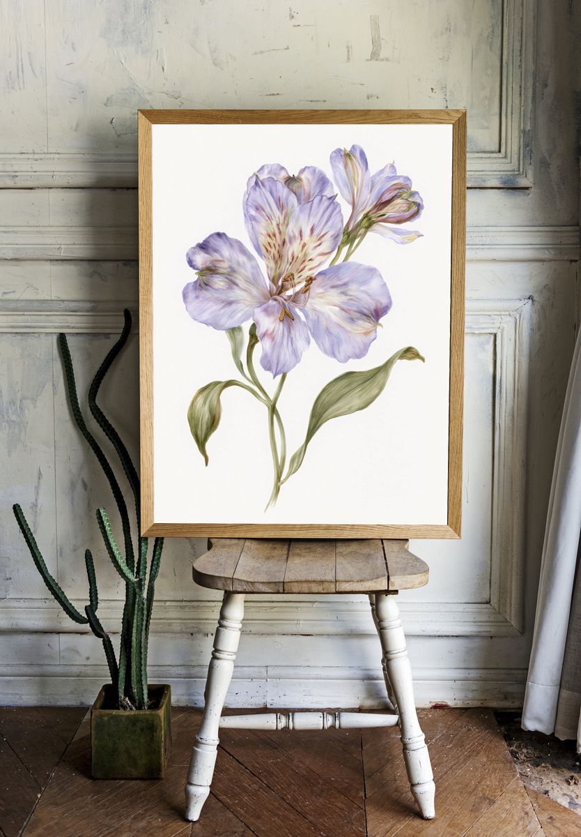 Lilac Alstroemeria Botanical Print. room preview