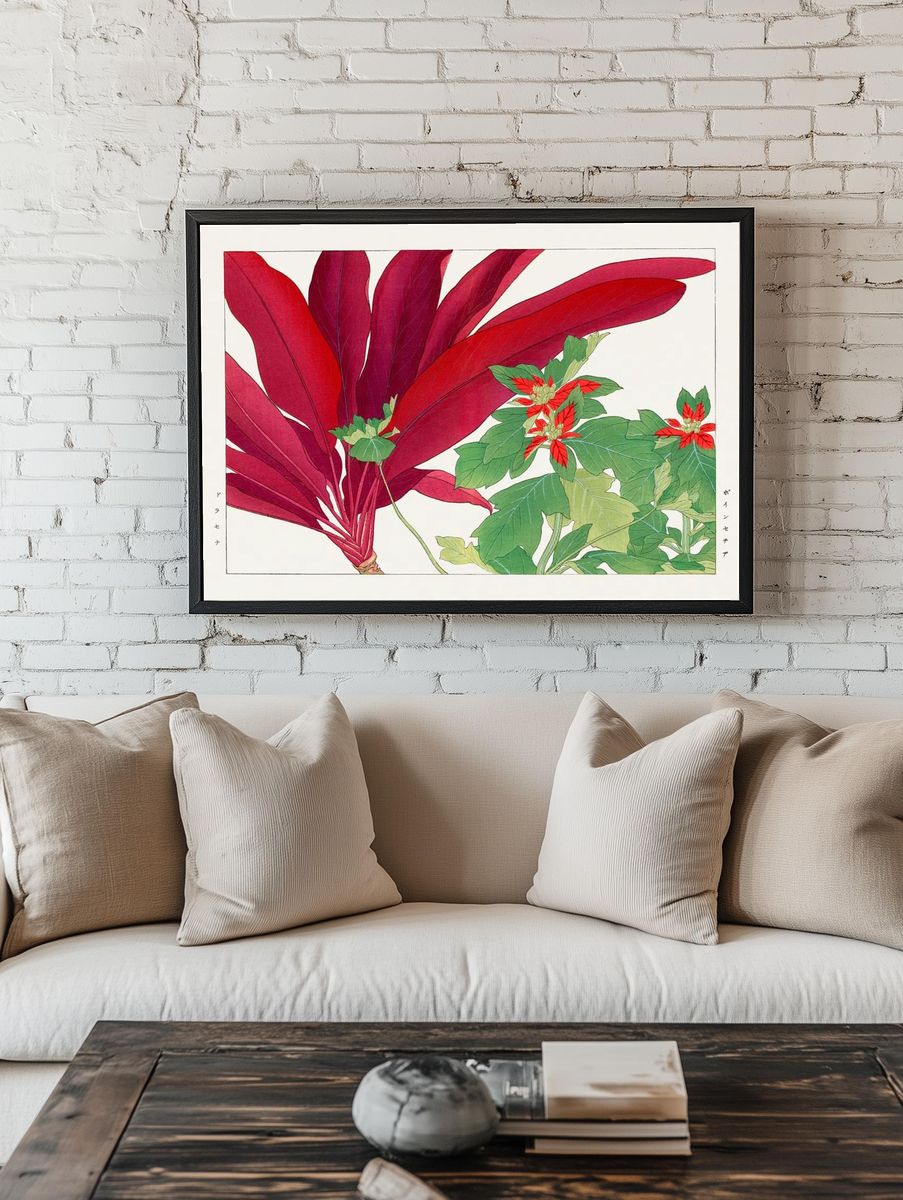 Poinsettia Botanical Illustration Poster. — room view 1