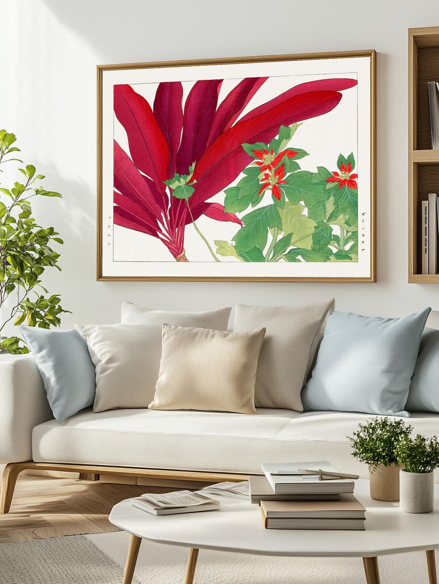 Poinsettia Botanical Illustration Poster. — room view 2