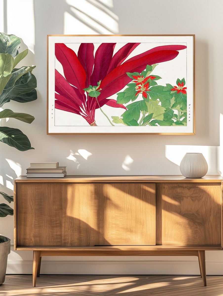 Poinsettia Botanical Illustration Poster. — room view 3