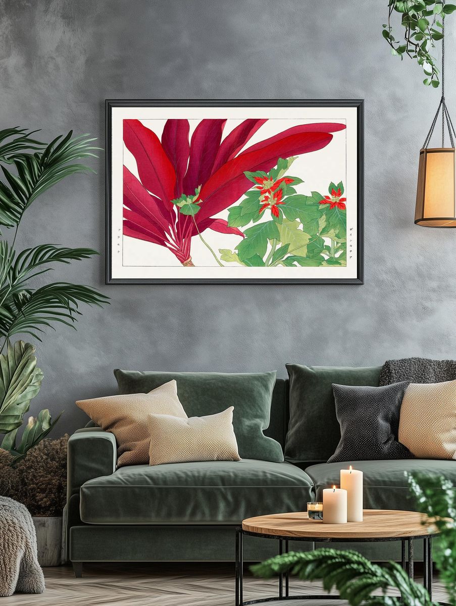 Poinsettia Botanical Illustration Poster. — room view 4