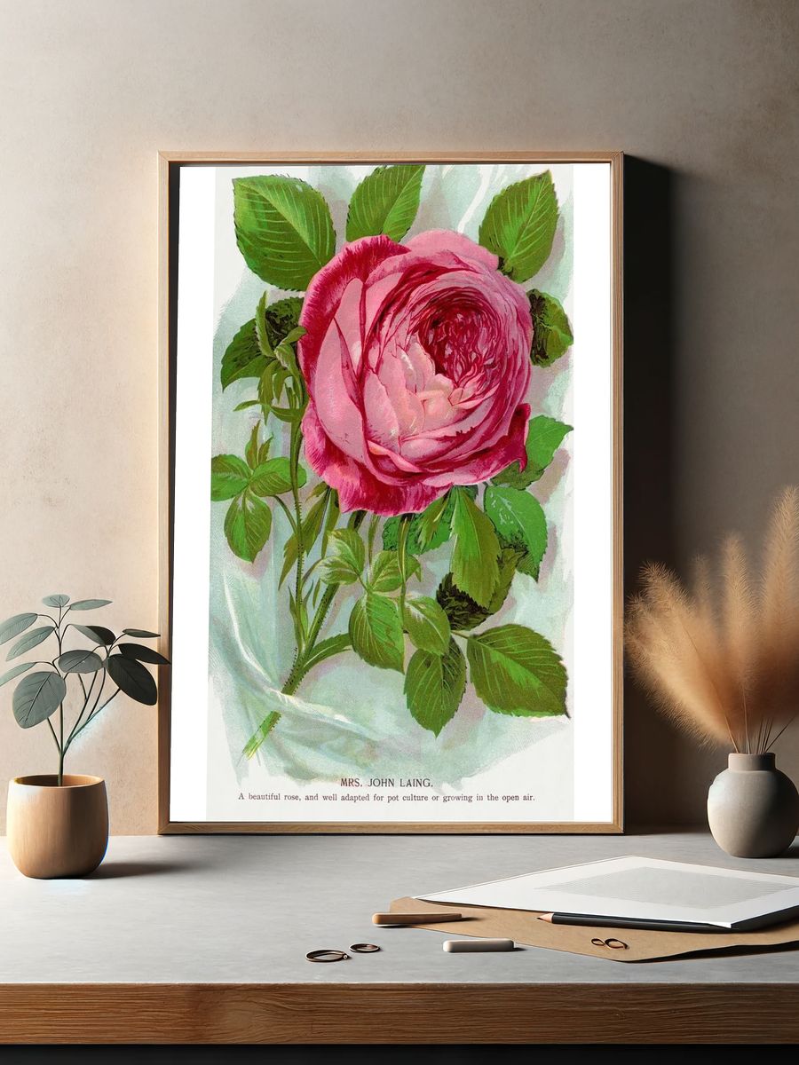 Pink Rose Botanical Vintage Poster. — room view 2