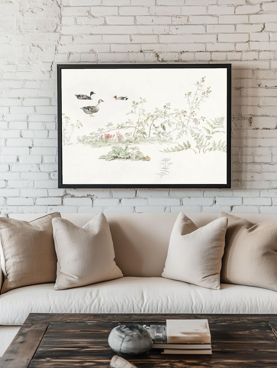 Studieblad met planten en watervogels. — room view 1