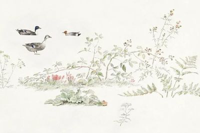 Studieblad met planten en watervogels. poster print