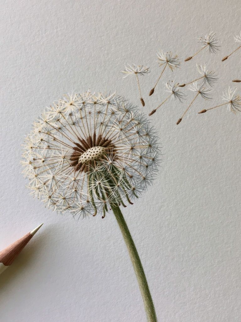 Dandelion Seed Drift Botanical Print. poster detail