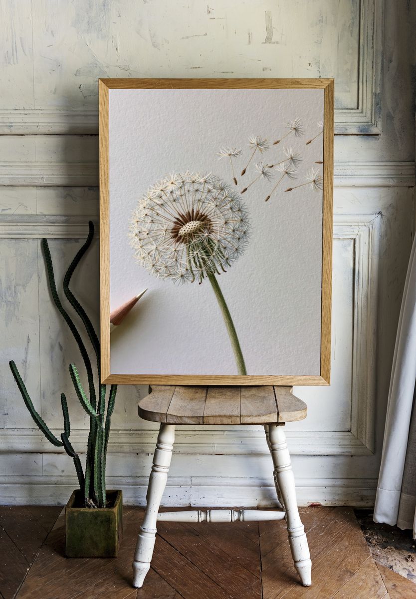Dandelion Seed Drift Botanical Print. — room view 1