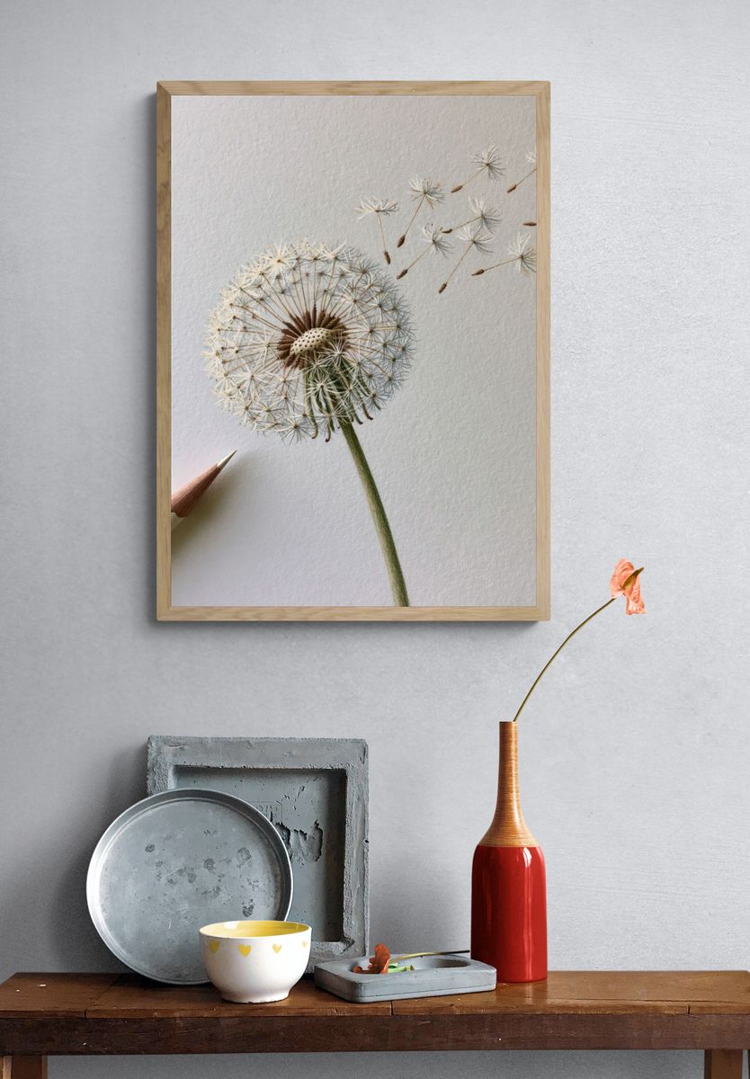 Dandelion Seed Drift Botanical Print. — room view 3