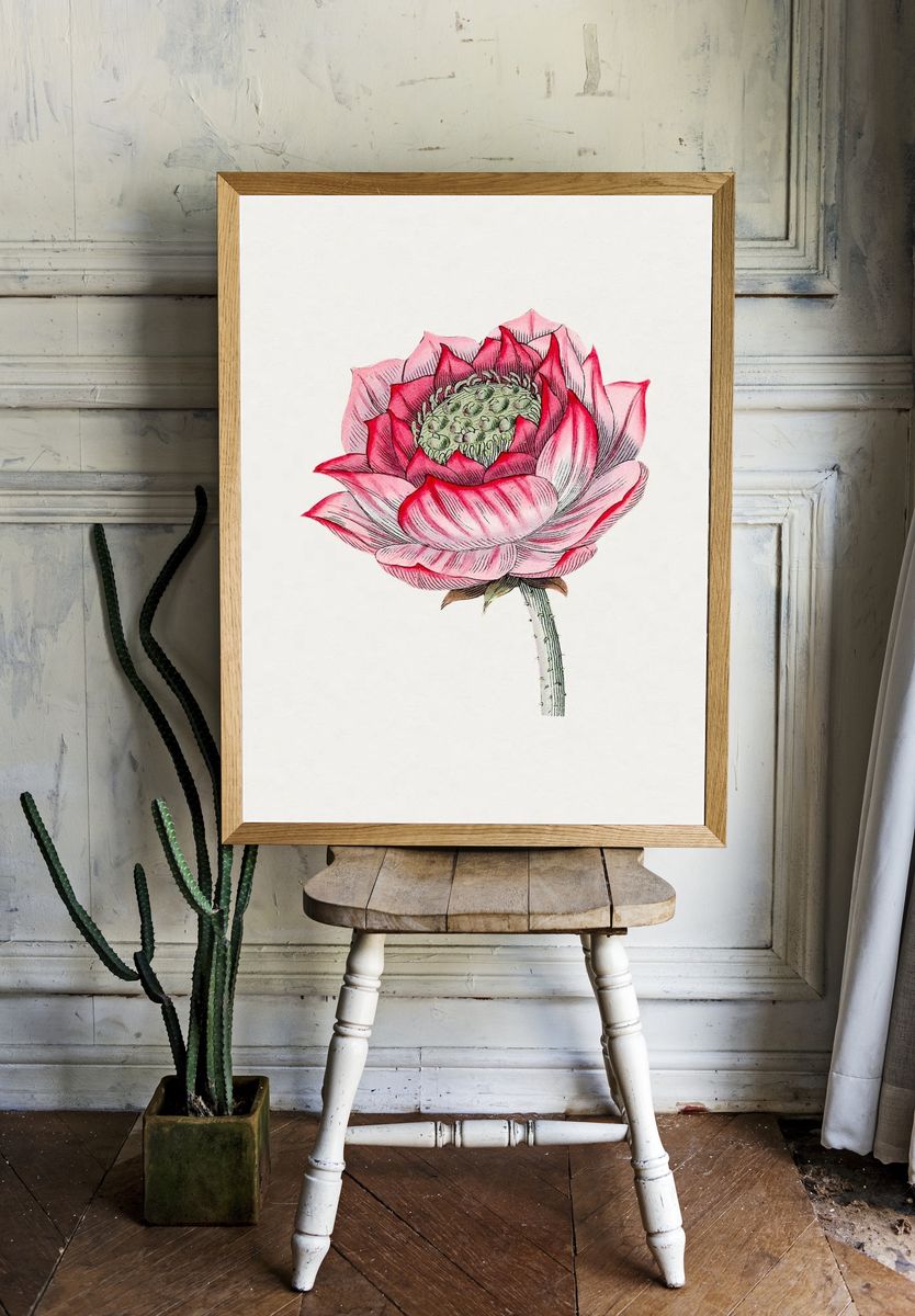 Hand drawn lotus. Original Biodiversity. room preview