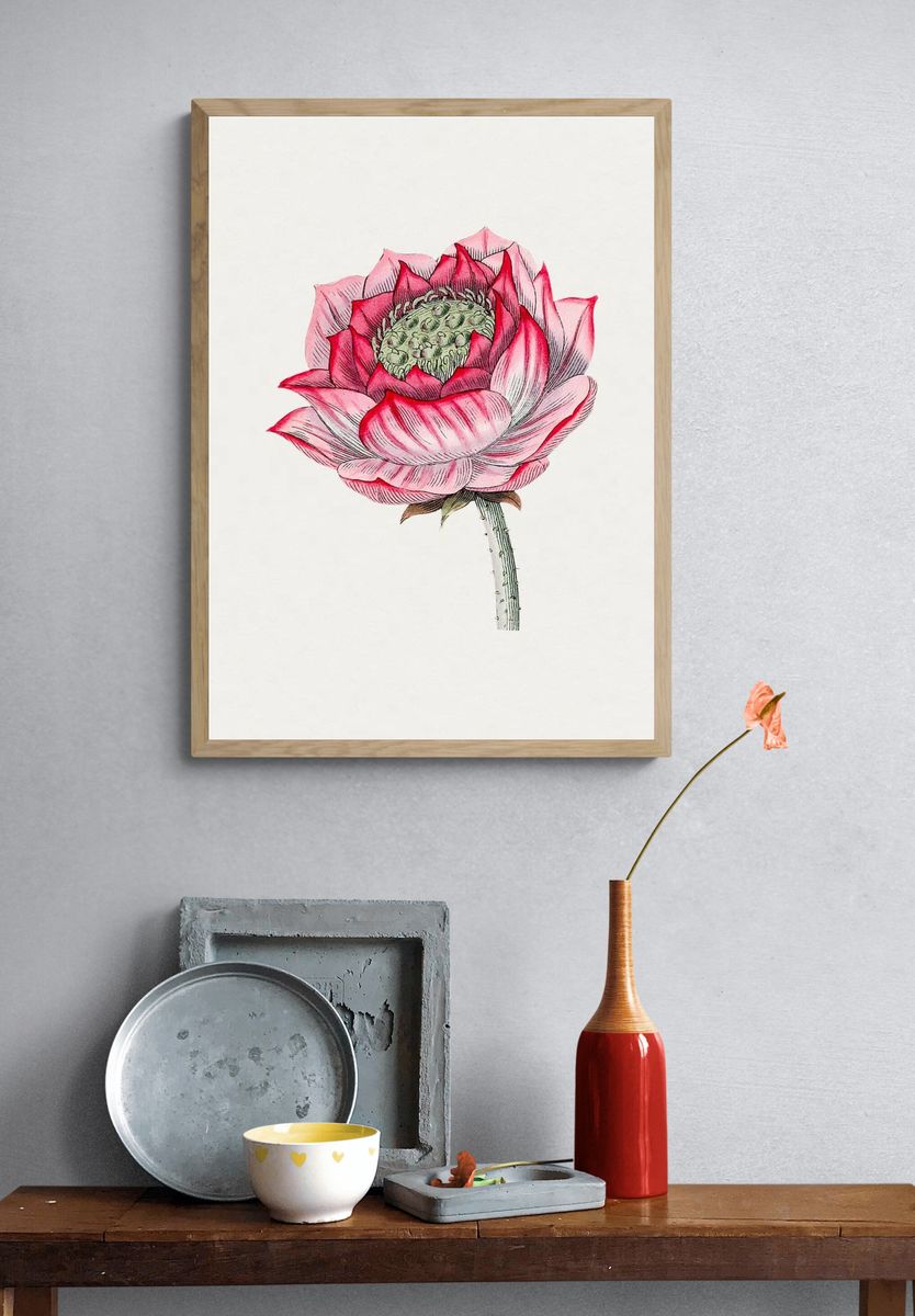 Hand drawn lotus. Original Biodiversity. — room view 3