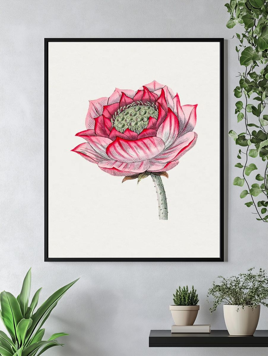 Hand drawn lotus. Original Biodiversity. — room view 4