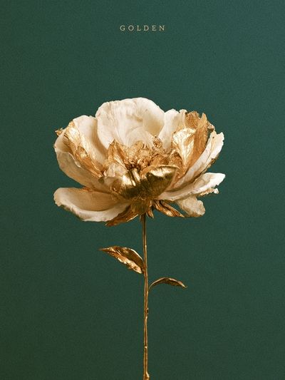 Golden Flower Botanical Print.