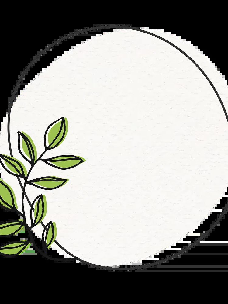 Free white ranunculus image, public. poster detail