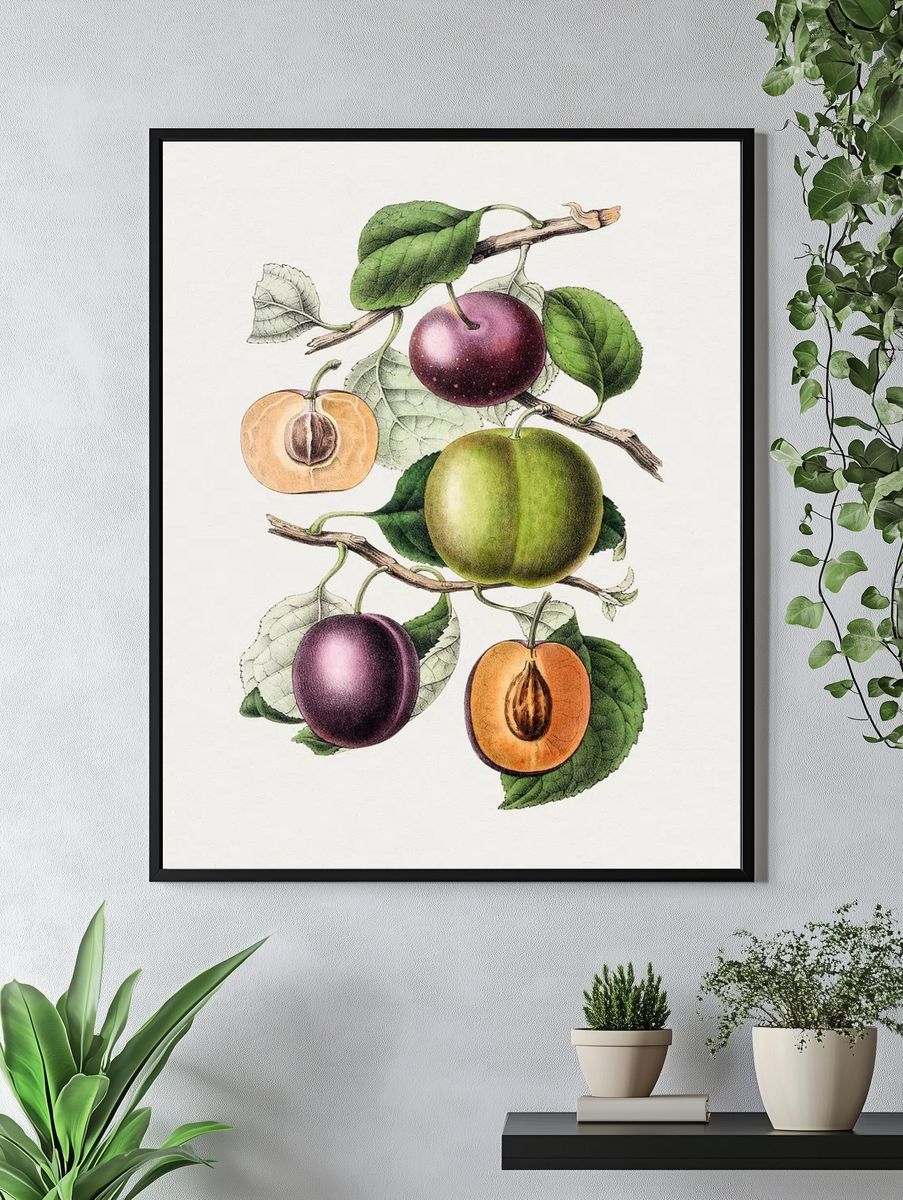 Plum Branch Botanical Print. — room view 4