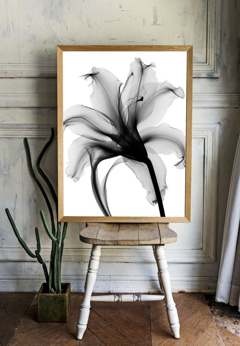 Monochrome Lily Abstract Print. room preview