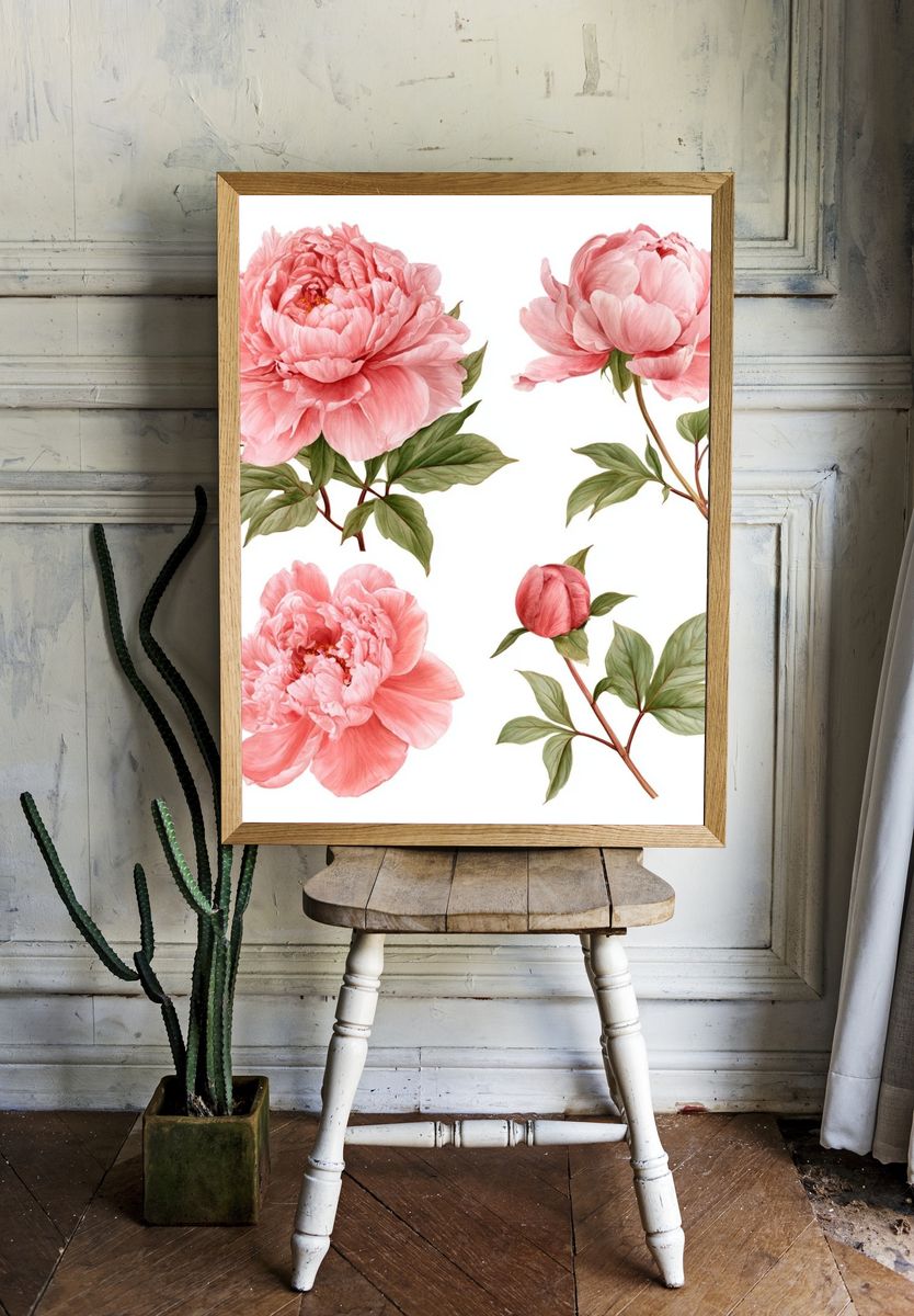 Pink Peony Botanical Print. room preview