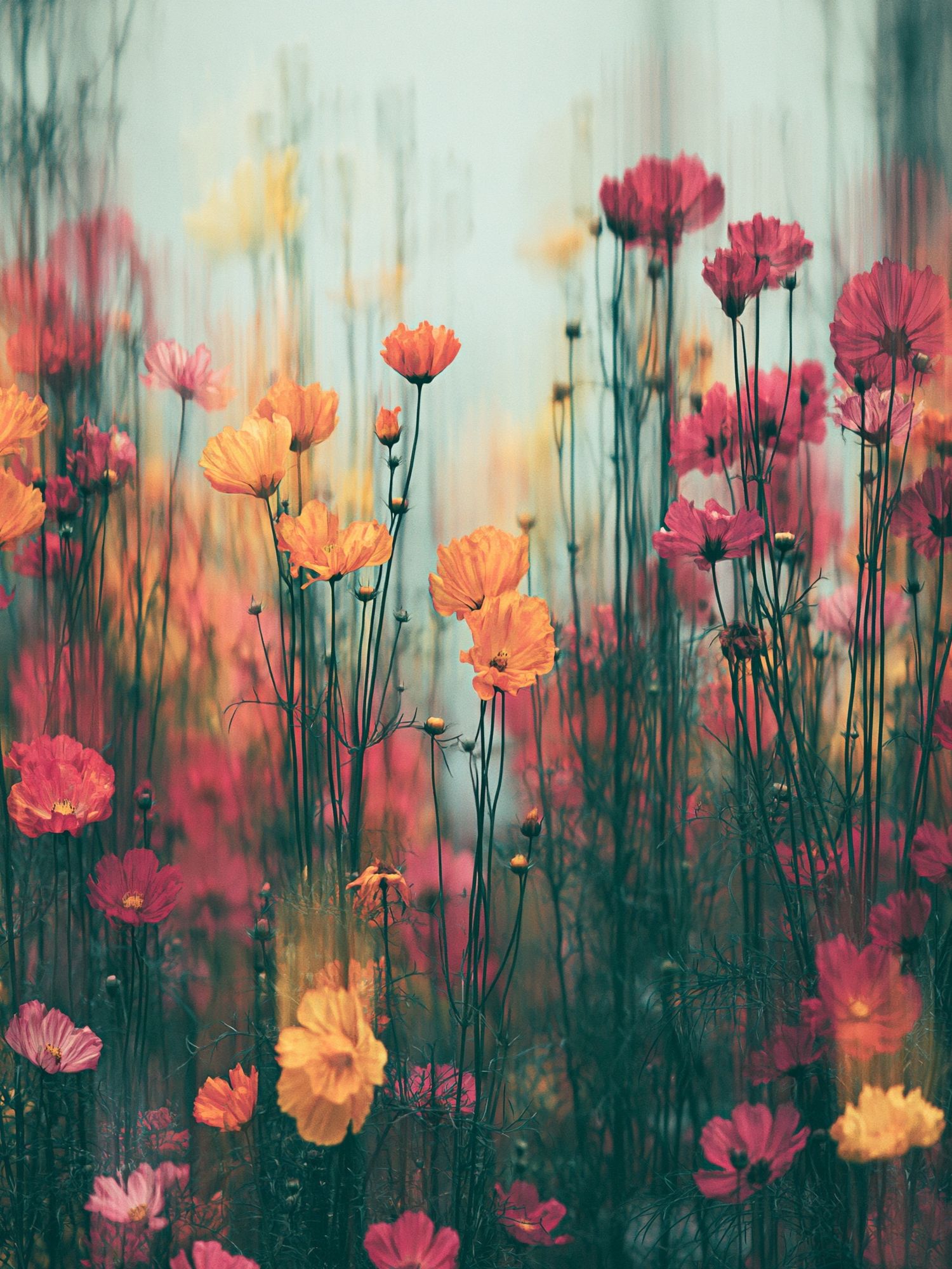 Dreamy Wildflower Meadow Print. poster — botanical art