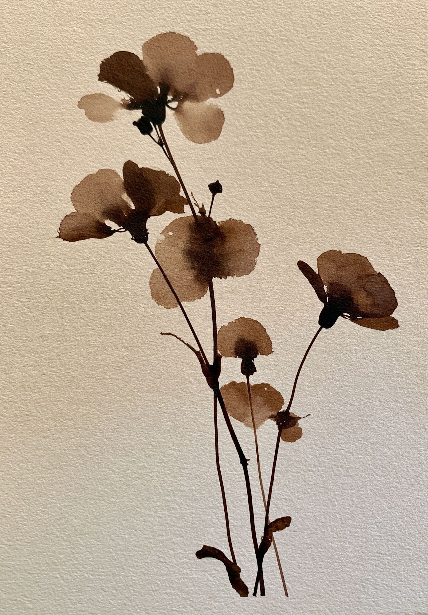 Pressed Botanical Silhouette Print. poster — botanical art