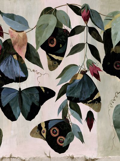 Butterfly Leaves Botanical Print. poster