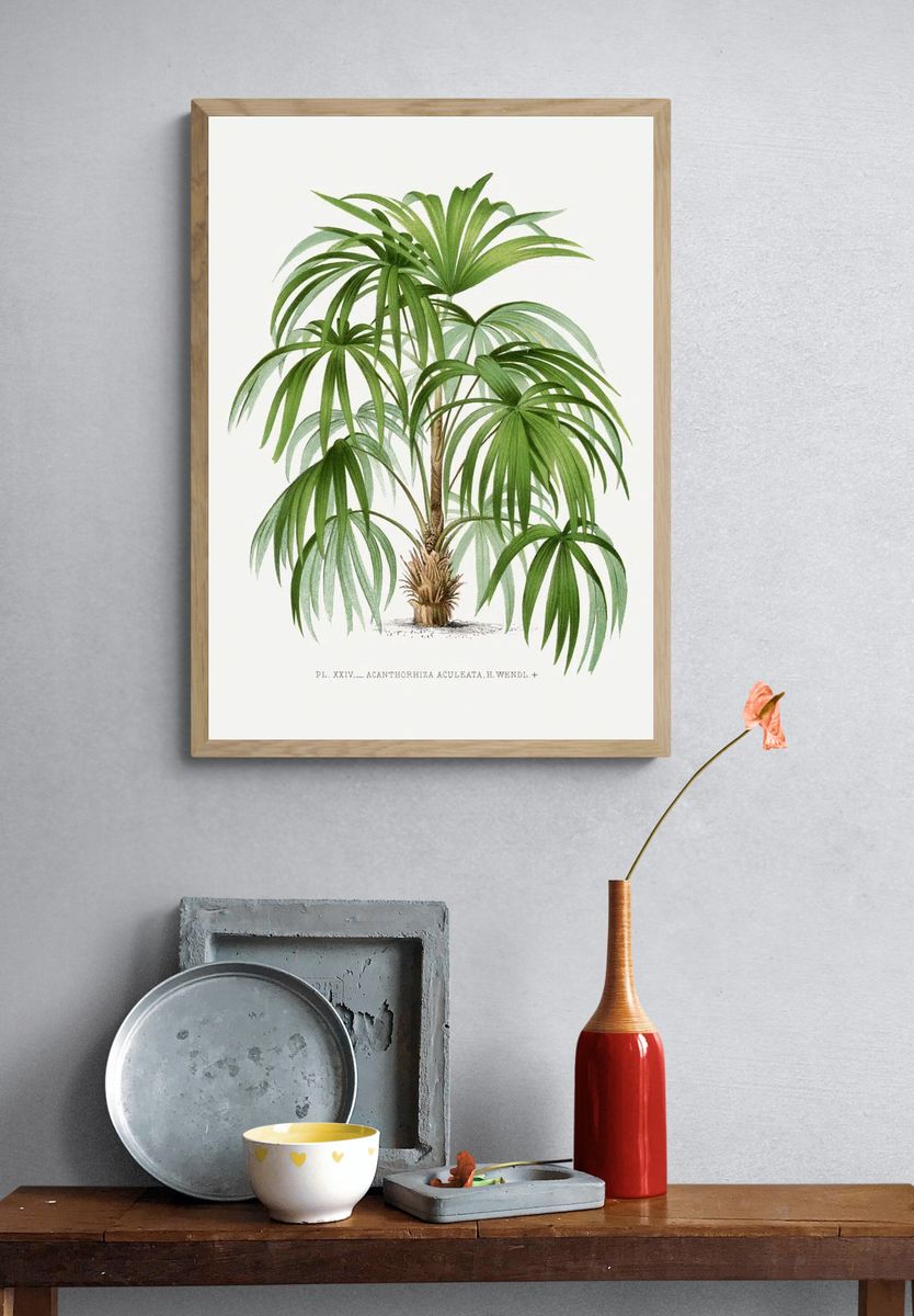Vintage palm tree illustration. Digitally. — room view 3