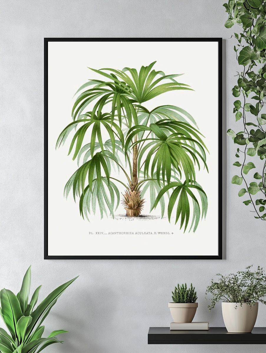 Vintage palm tree illustration. Digitally. — room view 4