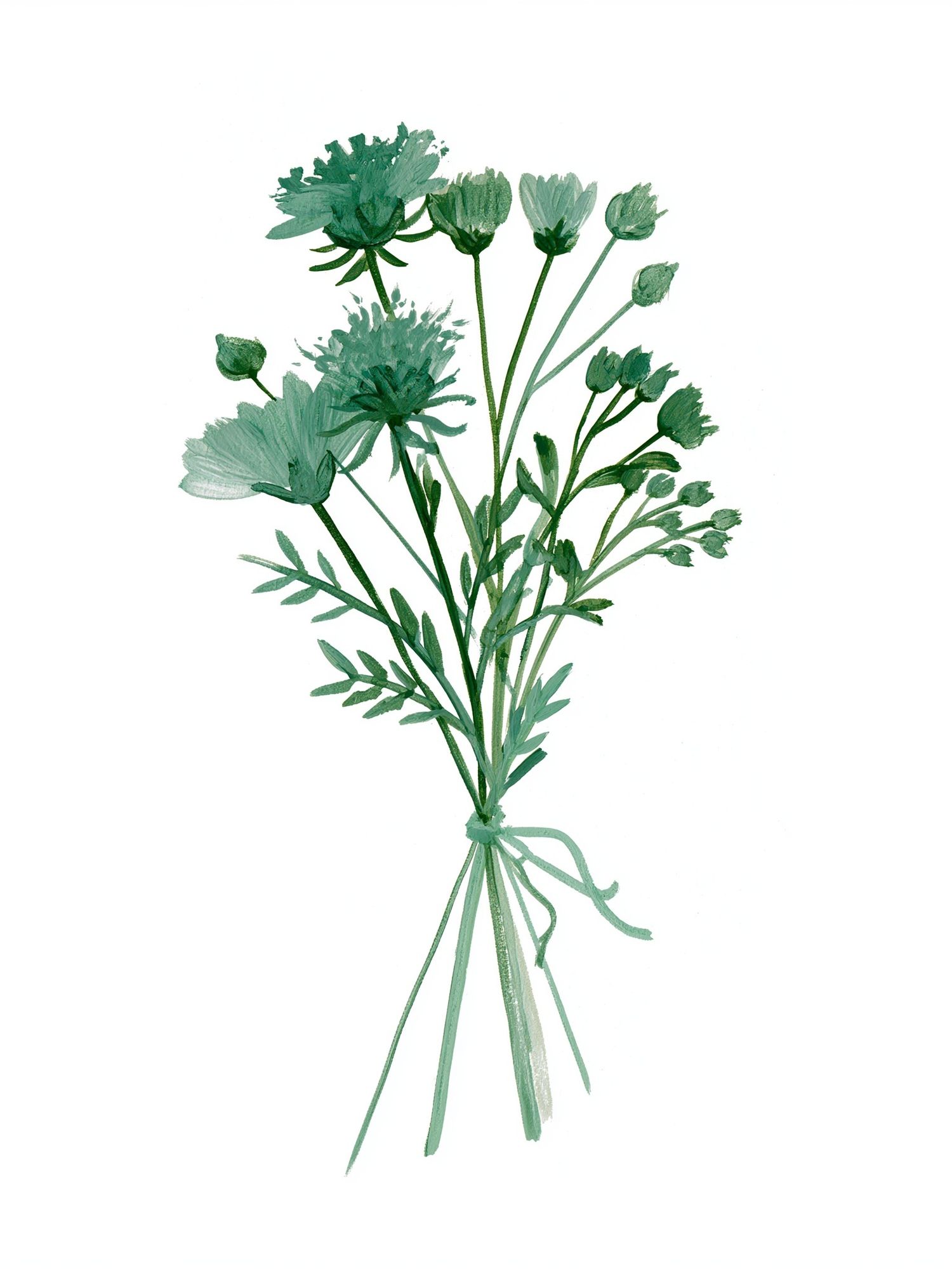 Green Wildflower Botanical Print. poster — botanical art