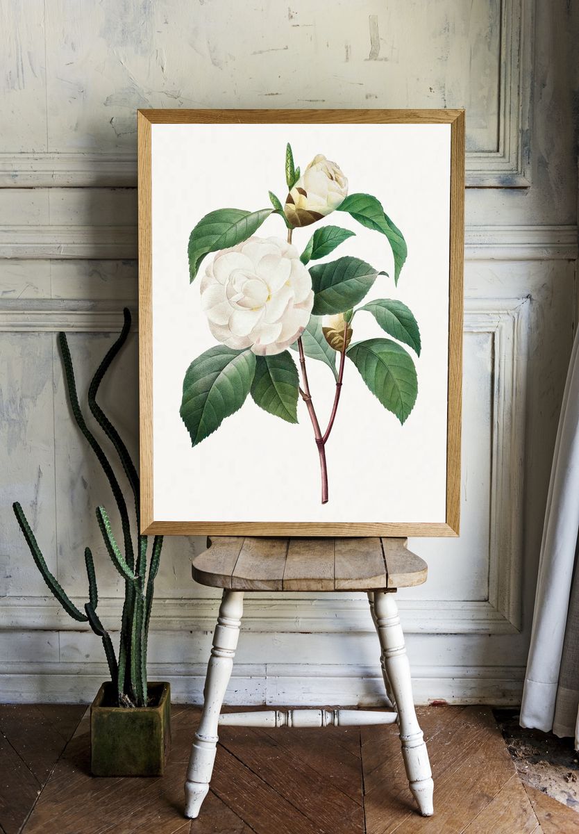 White Camellia Choix des plus. room preview