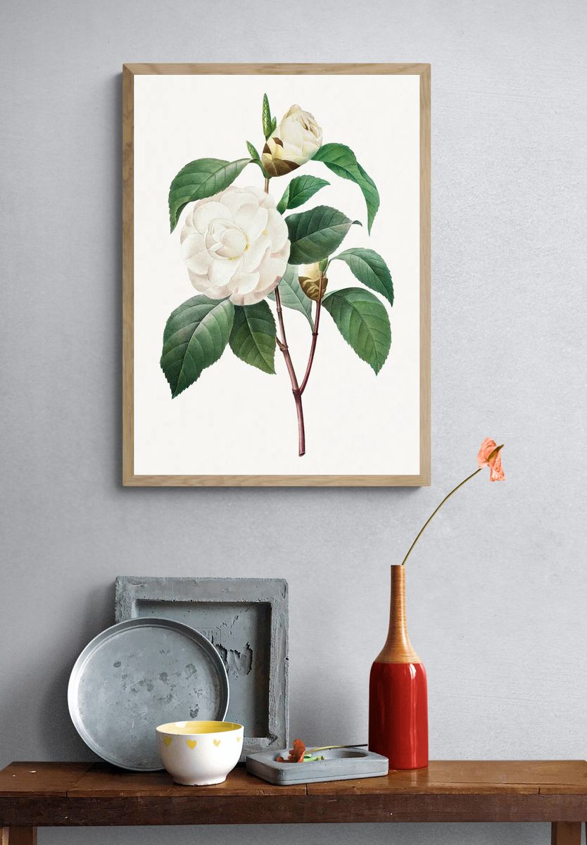 White Camellia Choix des plus. — room view 3