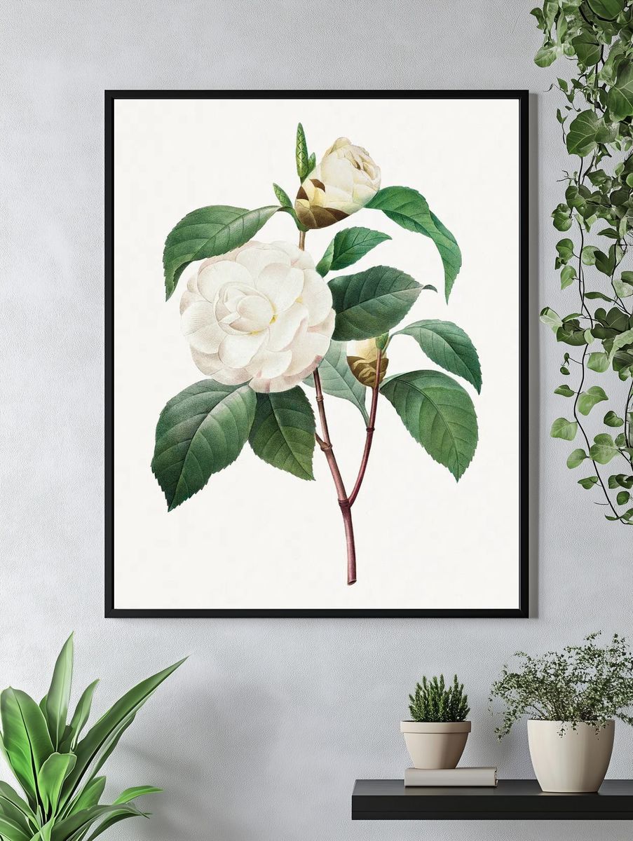 White Camellia Choix des plus. — room view 4