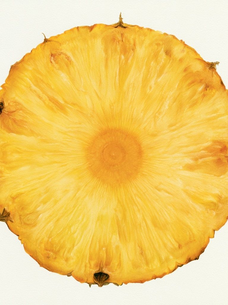 Pineapple Slice Botanical Print. poster — botanical art