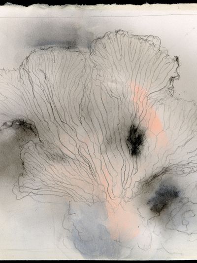Soft Coral Bloom Abstract Print.