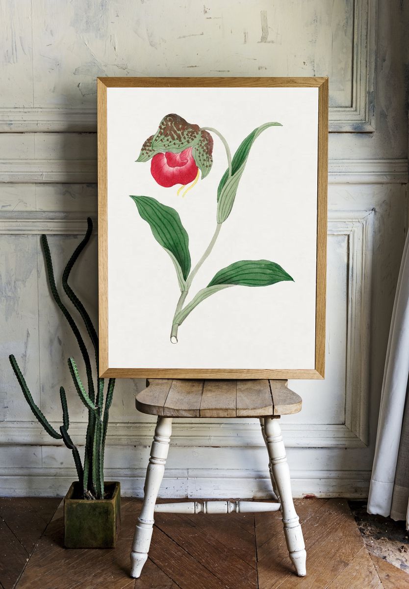 Red Orchid Botanical Print. — room view 1