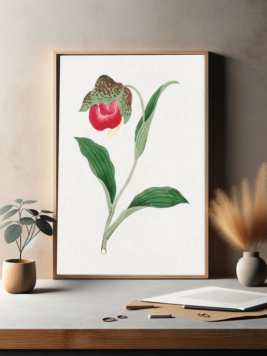 Red Orchid Botanical Print. — room view 2