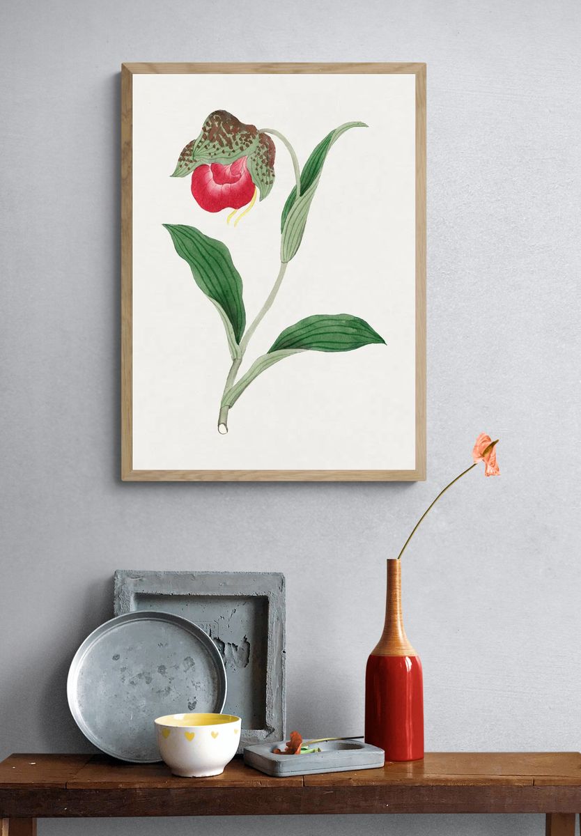 Red Orchid Botanical Print. — room view 3