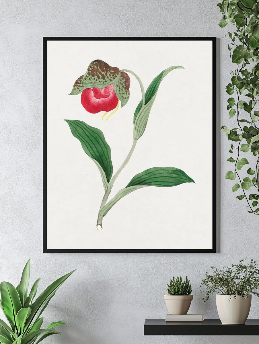 Red Orchid Botanical Print. — room view 4