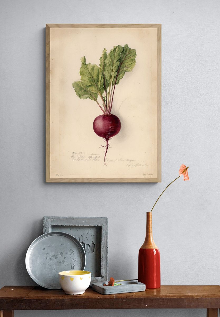 Beetroot Botanical Vintage Poster. — room view 3