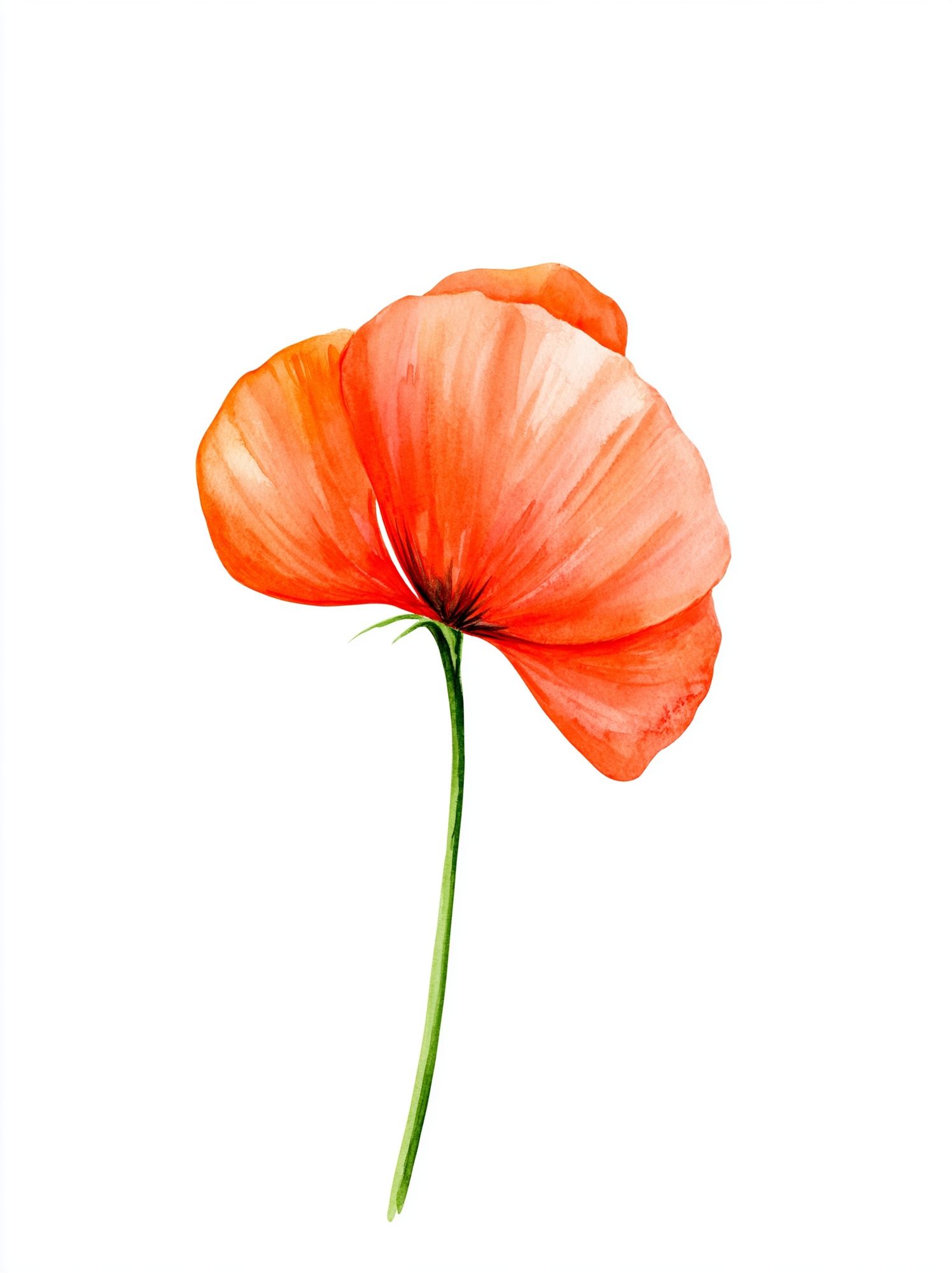 Orange Poppy Watercolor Print. poster detail