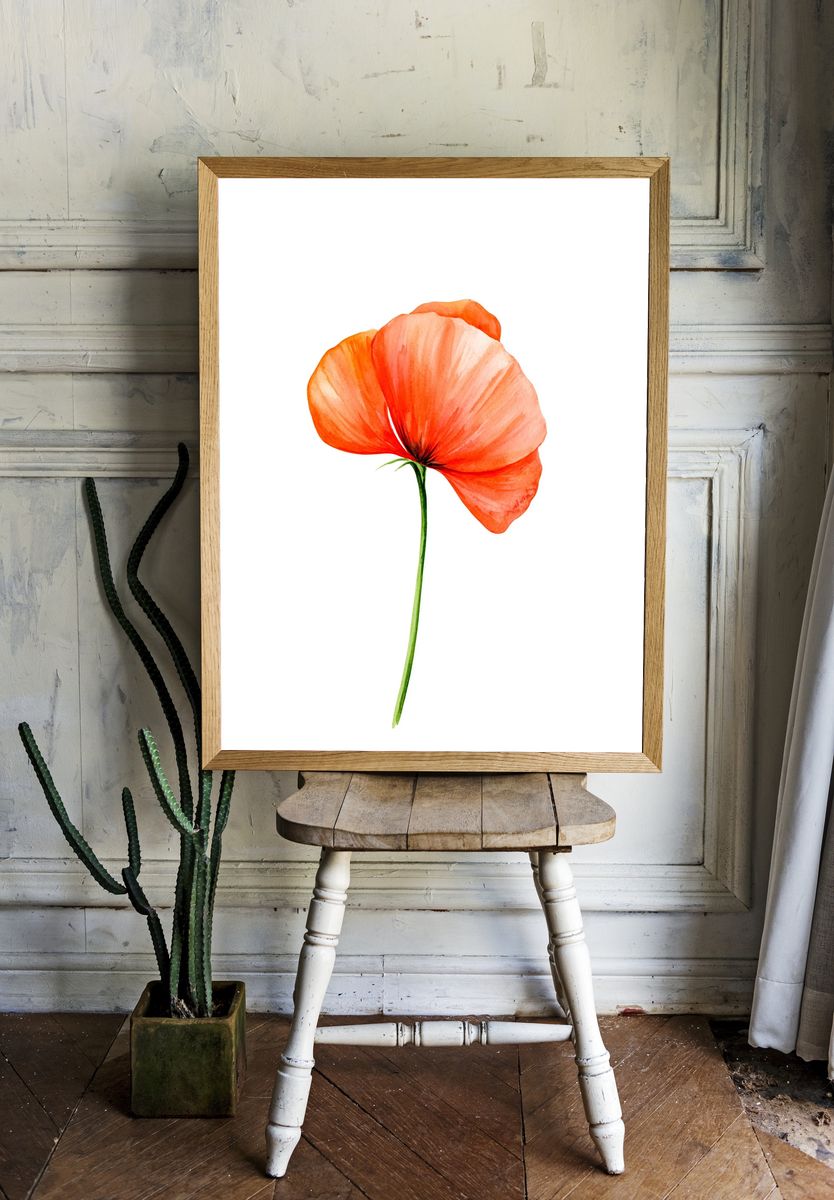 Orange Poppy Watercolor Print. room preview