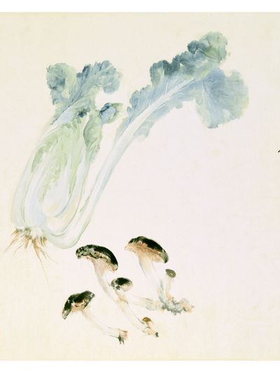 Chinese Cabbage and Mushrooms Print.