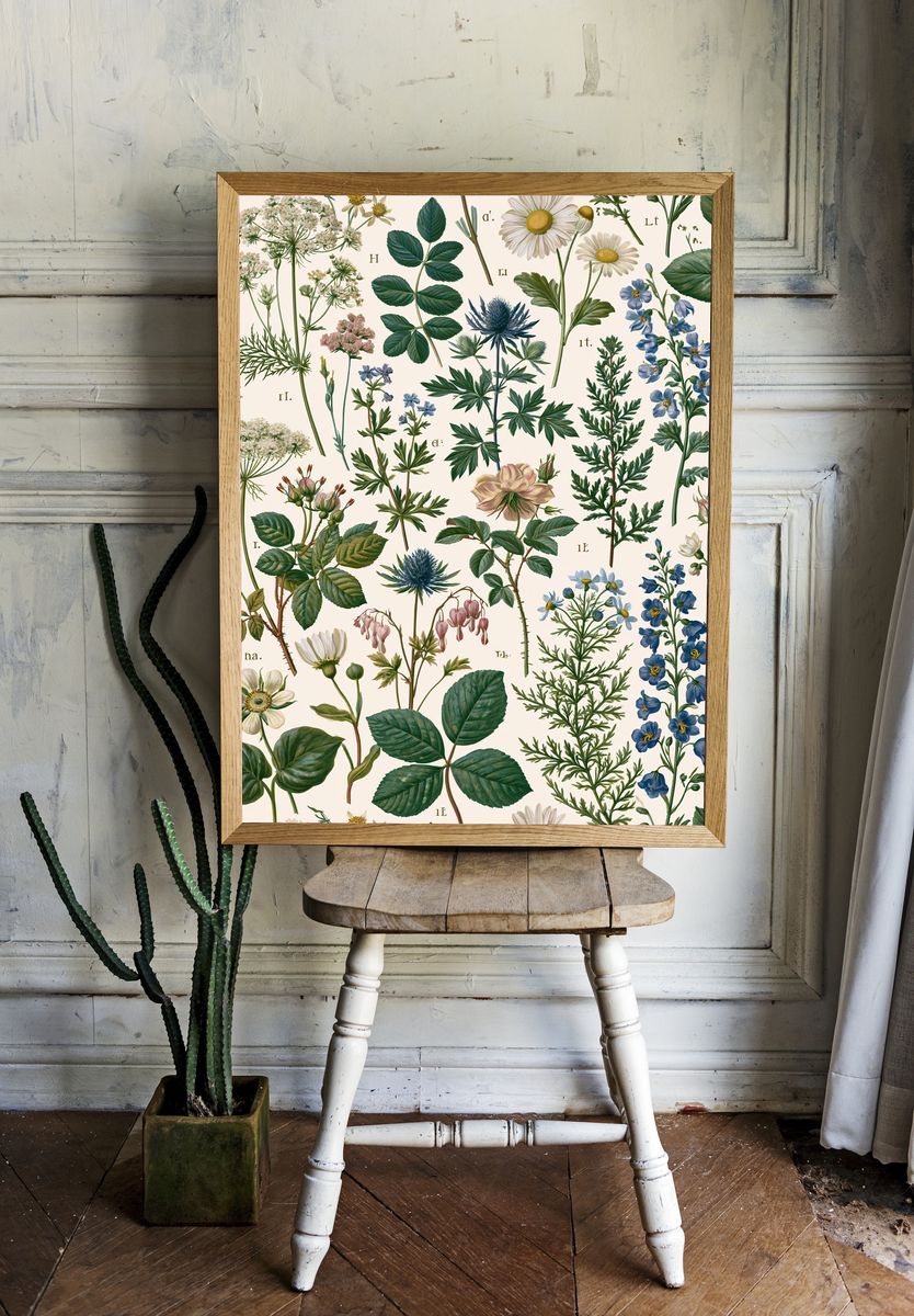 Botanical Herbarium Illustration Poster. — room view 1