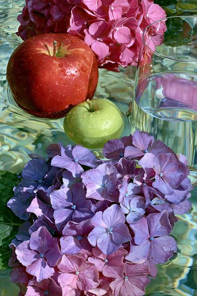 Hydrangeas and Apples Botanical Print.