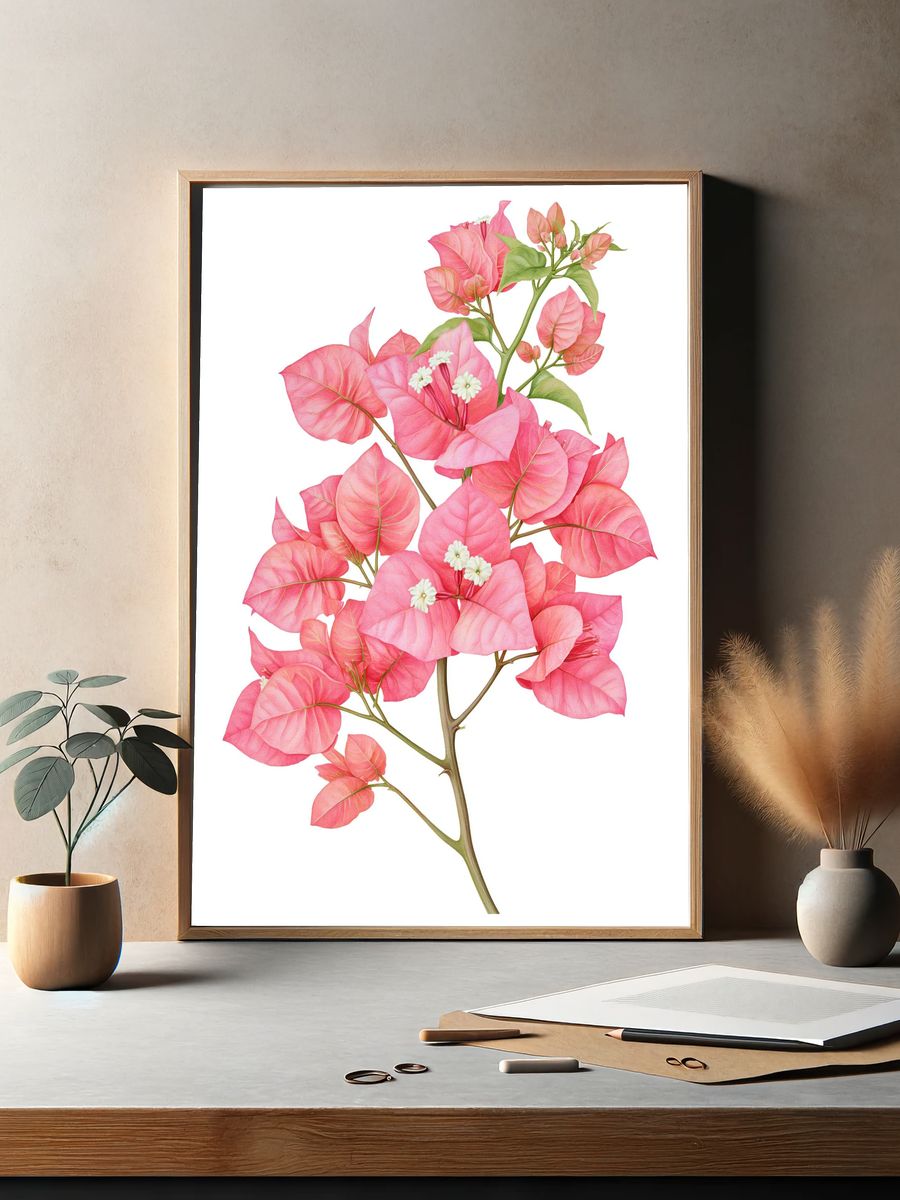 Pink Bougainvillea Botanical Poster. — room view 2