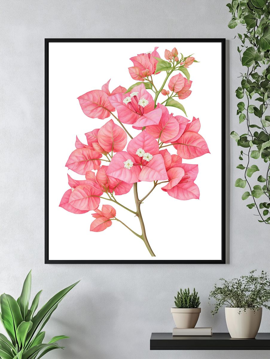 Pink Bougainvillea Botanical Poster. — room view 4