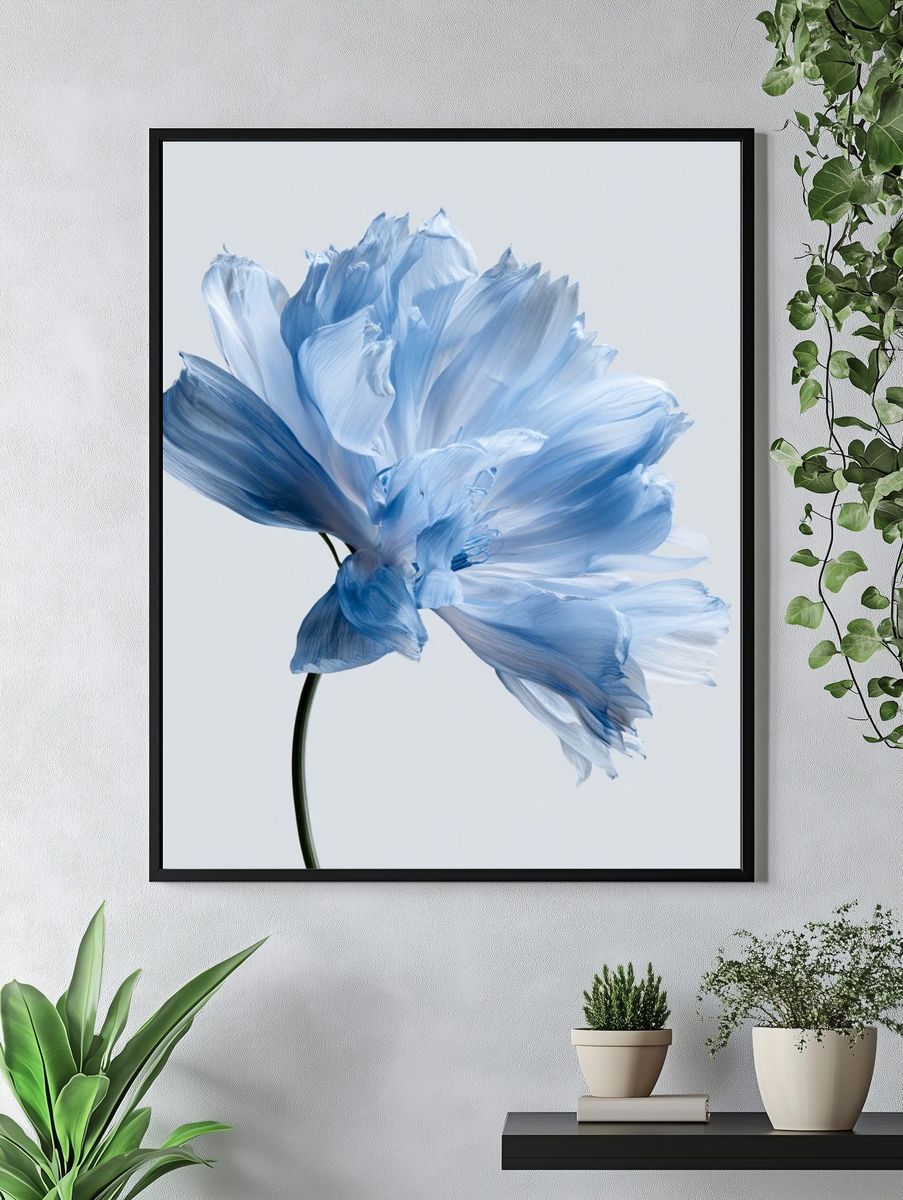 Blue Poppy Bloom Photography Poster. — room view 4